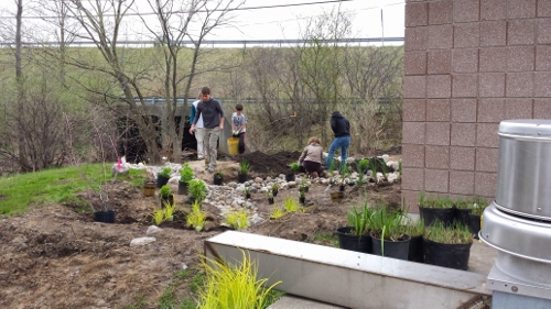 Winton Rain Garden (5)